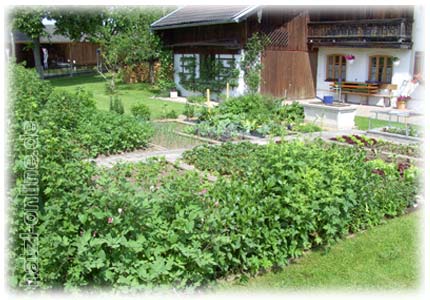 Gartentag - Tag der offenen Gartentür - Gemüsegarten