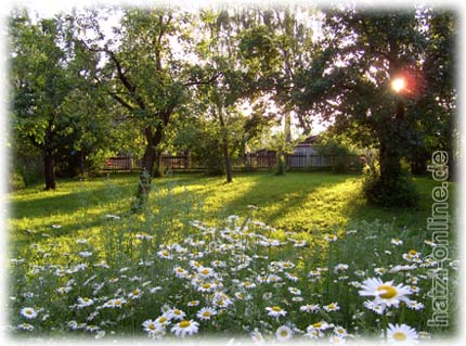 Gartentag - Tag der offenen Gartentr - Obstgarten